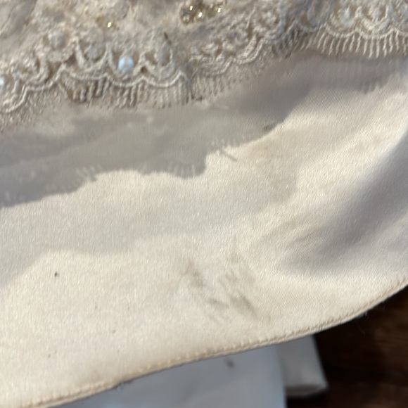 Justin Alexander Wedding Dress - not white - light gold - Picture 11 of 17